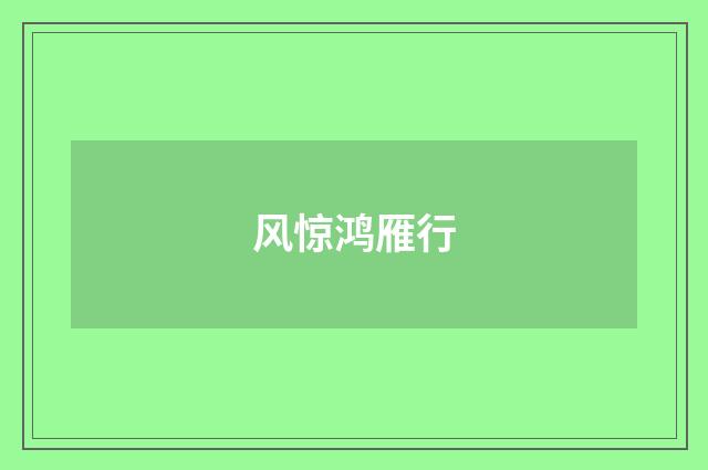 风惊鸿雁行