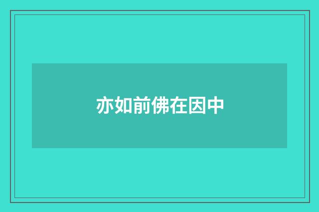 亦如前佛在因中