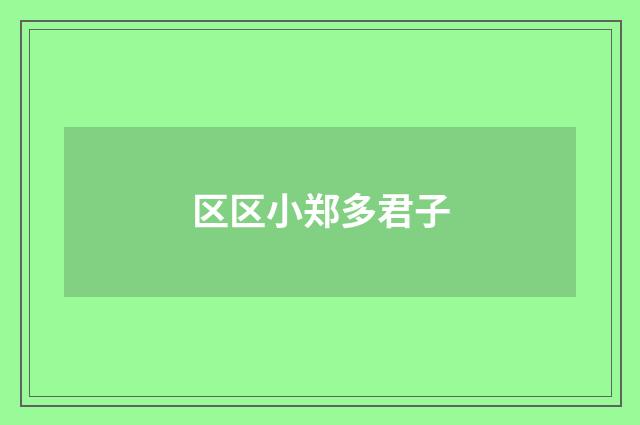区区小郑多君子