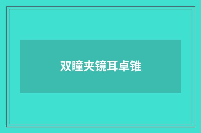 双瞳夹镜耳卓锥