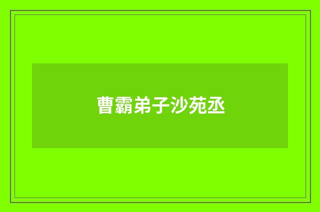 曹霸弟子沙苑丞