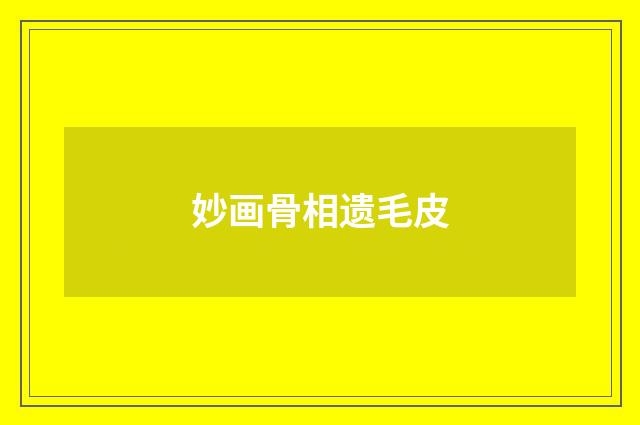 妙画骨相遗毛皮