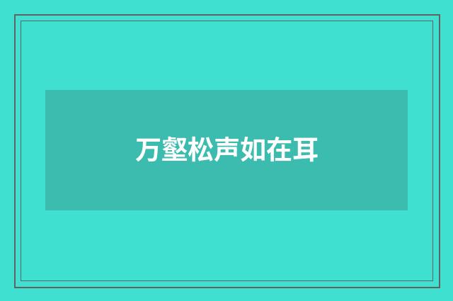 万壑松声如在耳