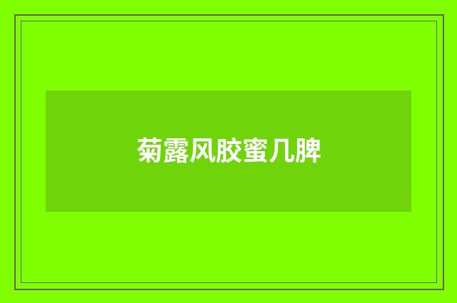 菊露风胶蜜几脾