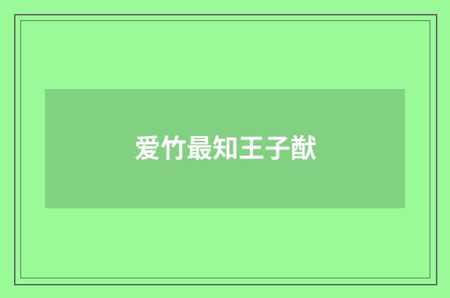 爱竹最知王子猷