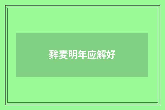 麰麦明年应解好