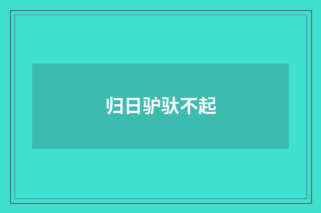归日驴驮不起