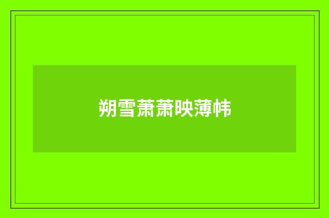 朔雪萧萧映薄帏