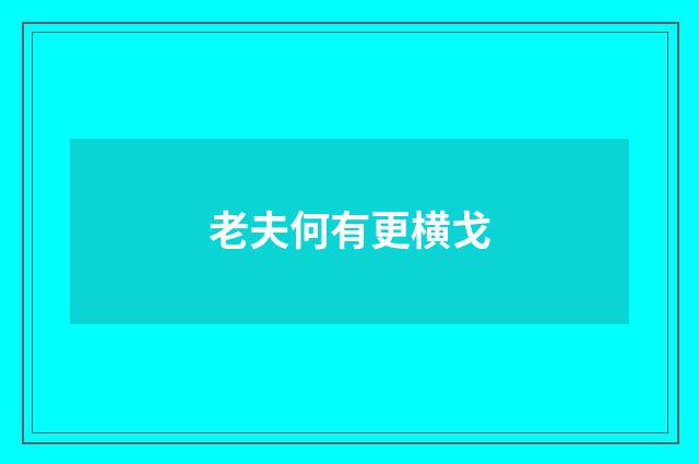 老夫何有更横戈