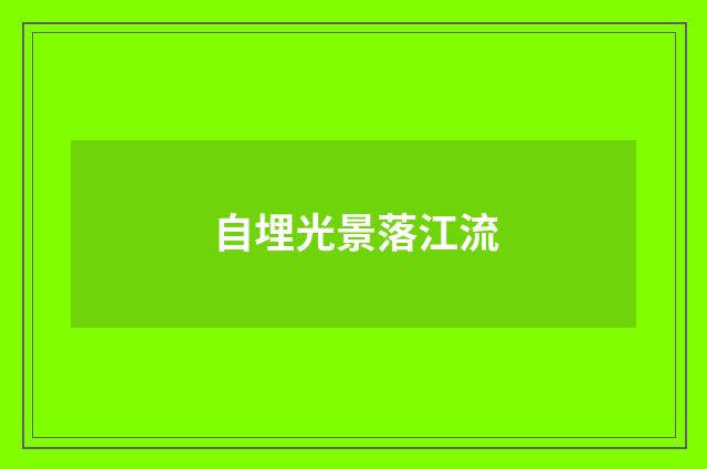 自埋光景落江流