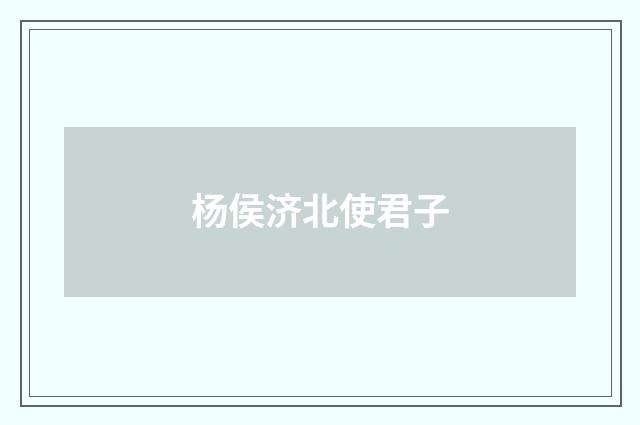 杨侯济北使君子
