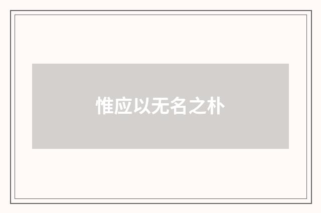 惟应以无名之朴