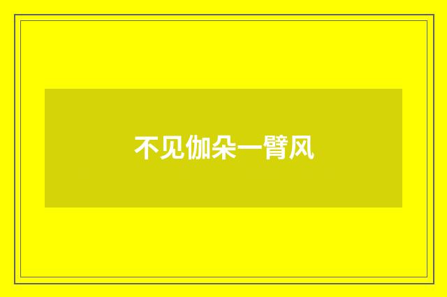 不见伽朵一臂风
