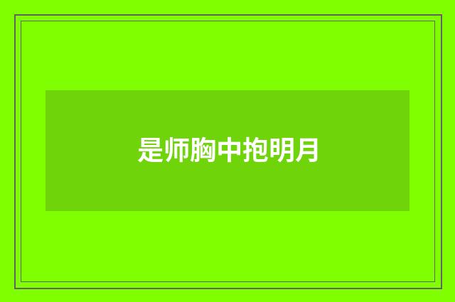 是师胸中抱明月