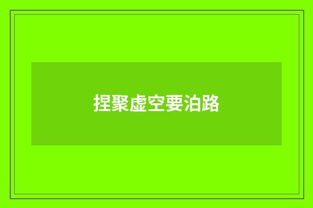 捏聚虚空要泊路
