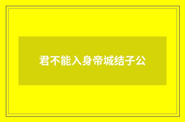 君不能入身帝城结子公