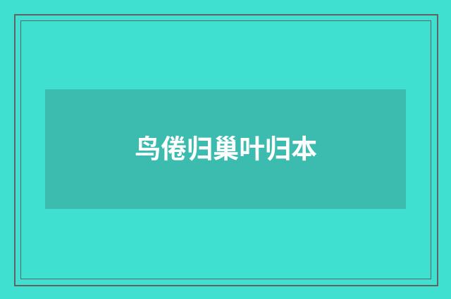 鸟倦归巢叶归本
