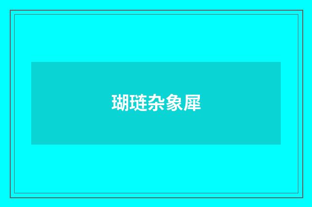 瑚琏杂象犀