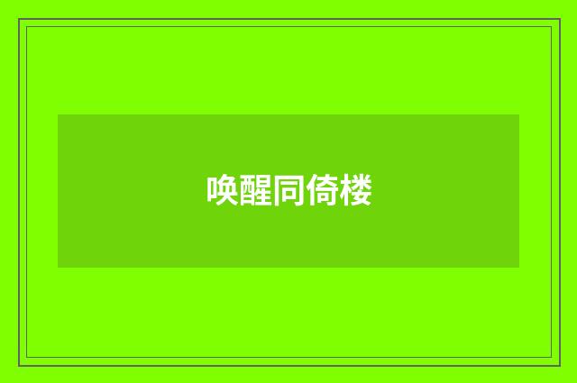 唤醒同倚楼