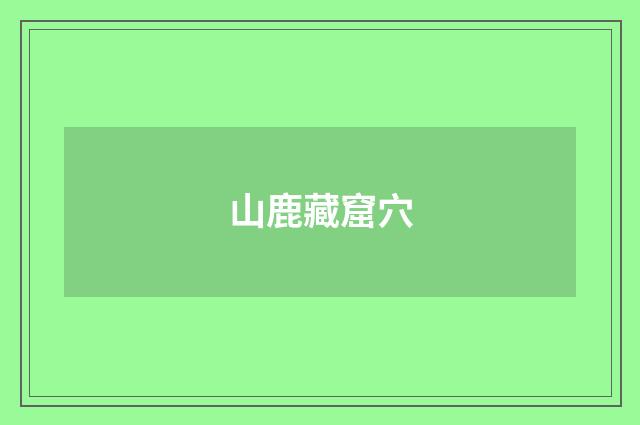 山鹿藏窟穴