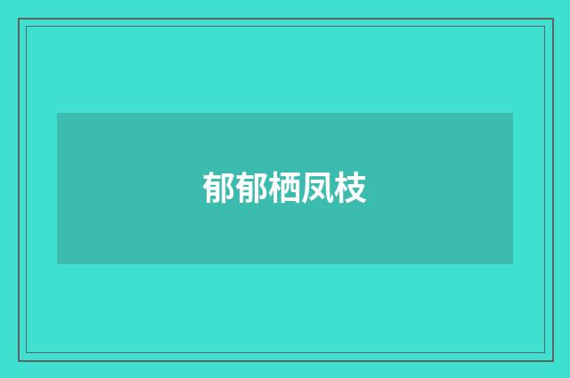 郁郁栖凤枝