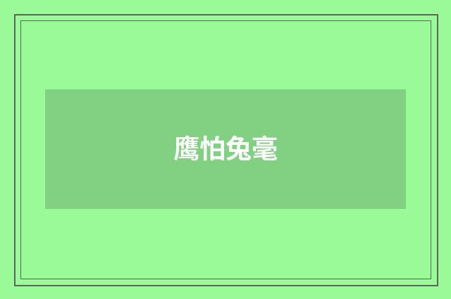 鹰怕兔毫