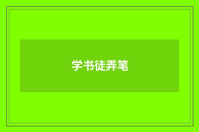 学书徒弄笔
