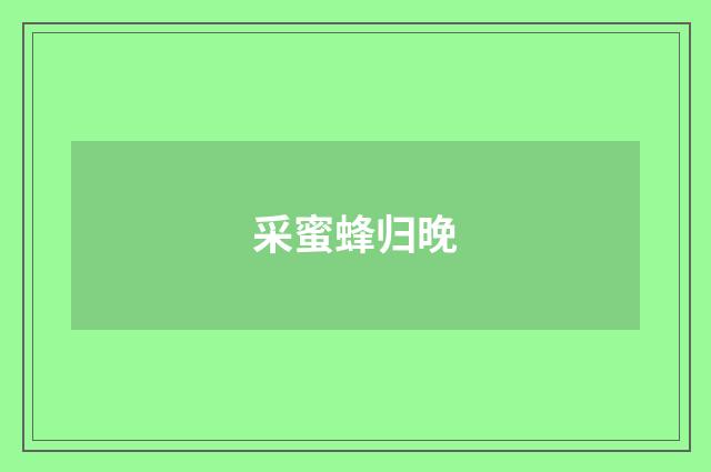 采蜜蜂归晚