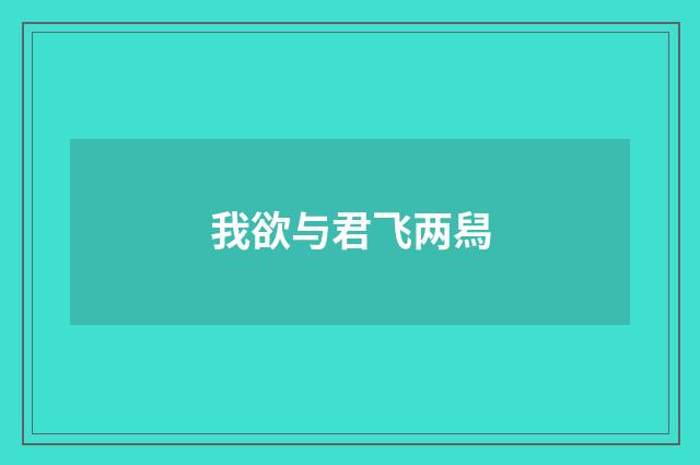 我欲与君飞两舄