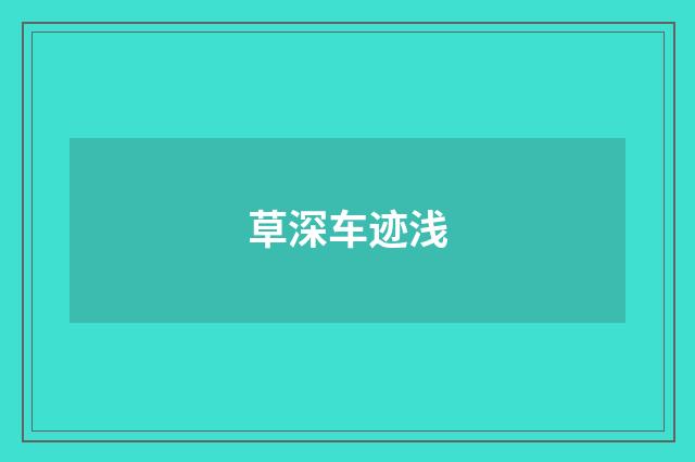 草深车迹浅