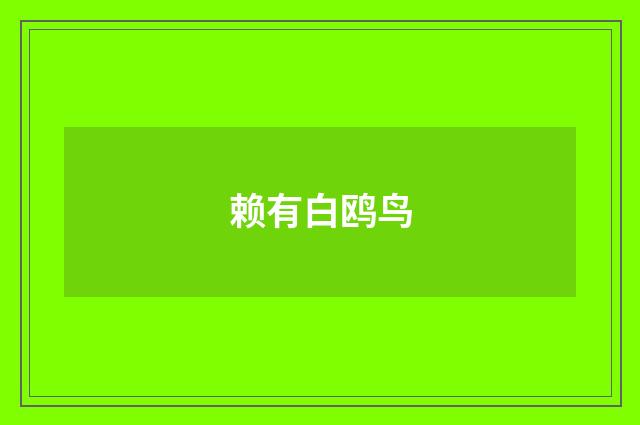 赖有白鸥鸟