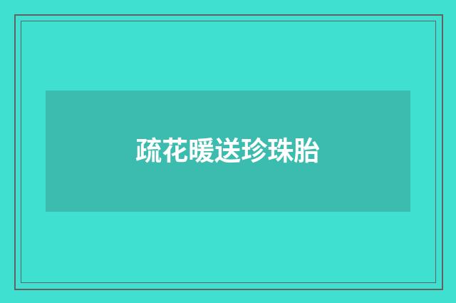 疏花暖送珍珠胎