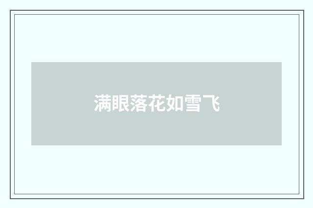 满眼落花如雪飞