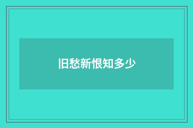 旧愁新恨知多少