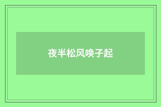 夜半松风唤子起