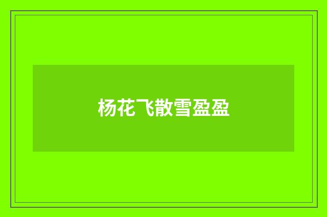 杨花飞散雪盈盈