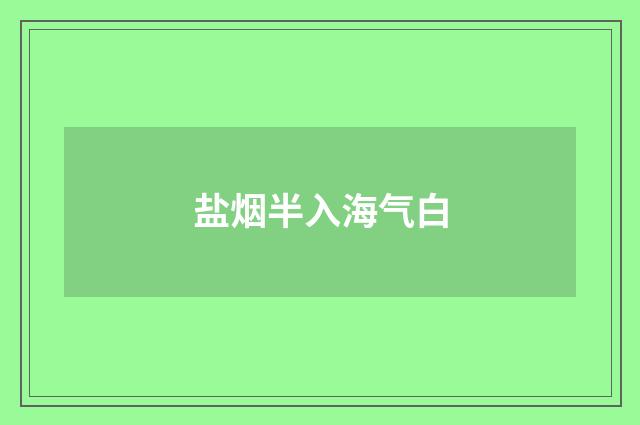 盐烟半入海气白
