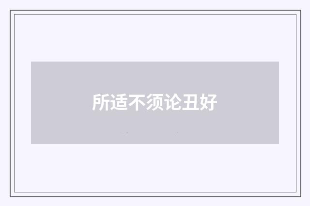 所适不须论丑好