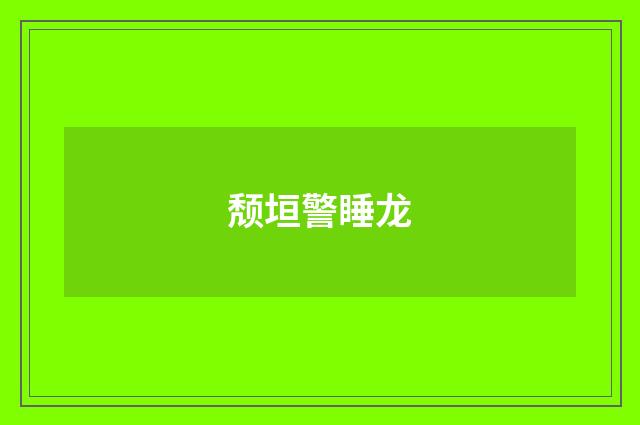 颓垣警睡龙