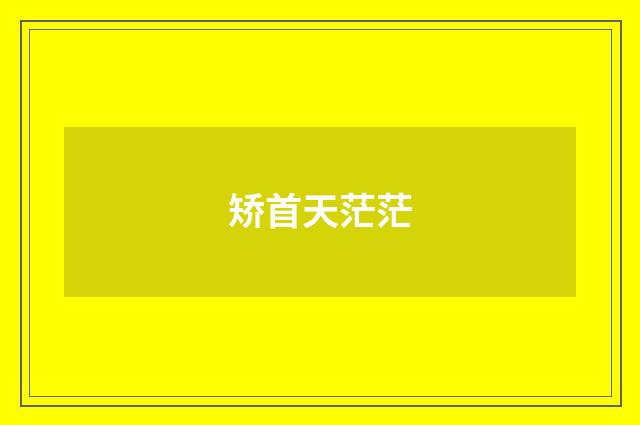 矫首天茫茫