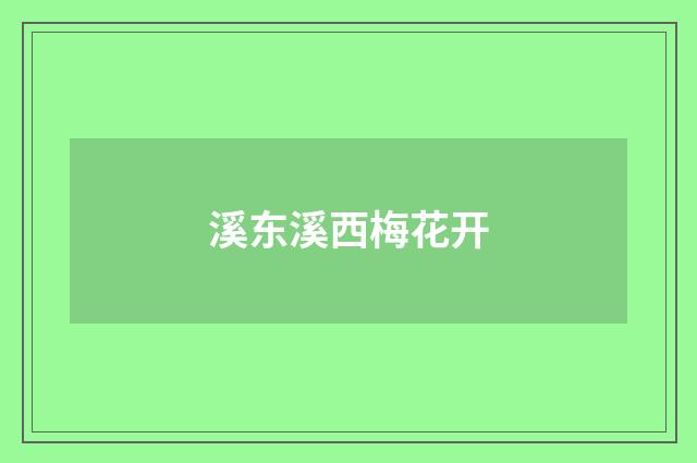 溪东溪西梅花开