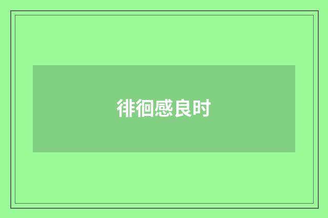 徘徊感良时