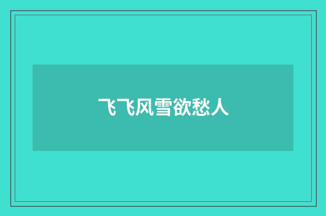 飞飞风雪欲愁人
