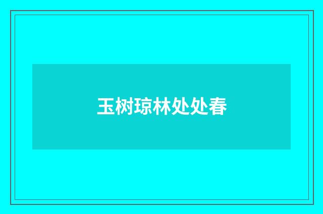 玉树琼林处处春