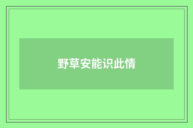 野草安能识此情