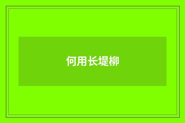 何用长堤柳
