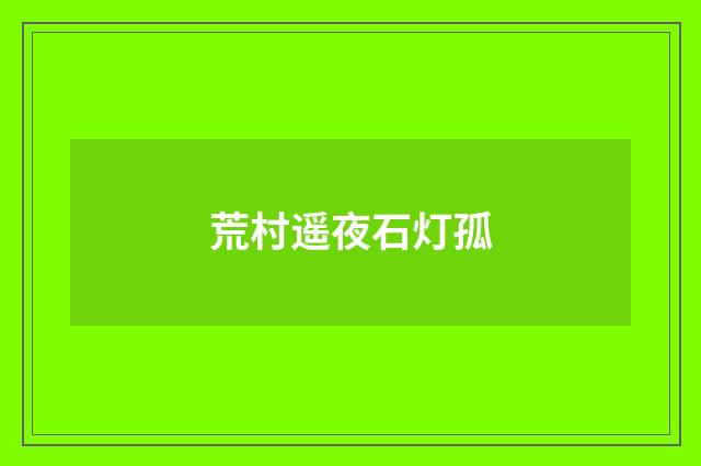 荒村遥夜石灯孤