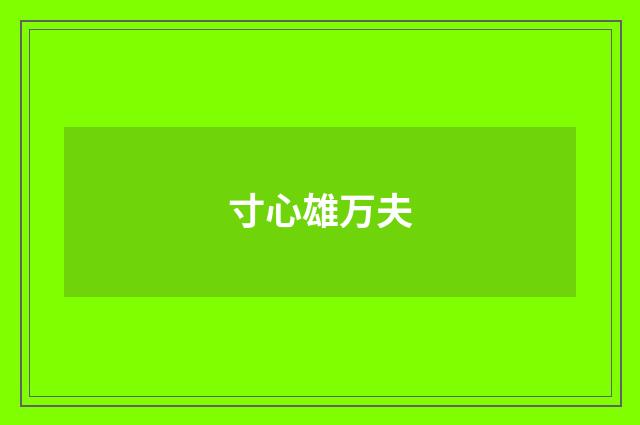 寸心雄万夫