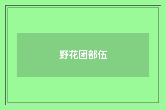 野花团部伍