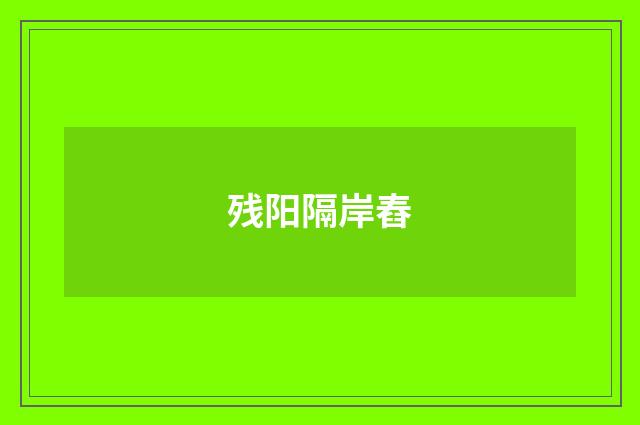 残阳隔岸舂